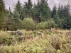 Llyn Brenig & Llyn Alwen, Wales [04/10/2023]