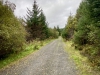 Llyn Brenig & Llyn Alwen, Wales [04/10/2023]