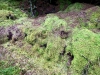 Llyn Brenig & Llyn Alwen, Wales [04/10/2023]