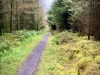 Llyn Brenig & Llyn Alwen, Wales [04/10/2023]