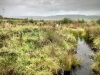 Llyn Brenig & Llyn Alwen, Wales [04/10/2023]