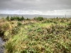 Llyn Brenig & Llyn Alwen, Wales [04/10/2023]