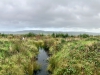 Llyn Brenig & Llyn Alwen, Wales [04/10/2023]