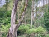 Loggerheads, Wales [07/10/2023]