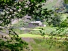 Wast Water, Nether Wasdale [26/08/2019]