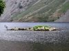 Wast Water, Nether Wasdale [26/08/2019]